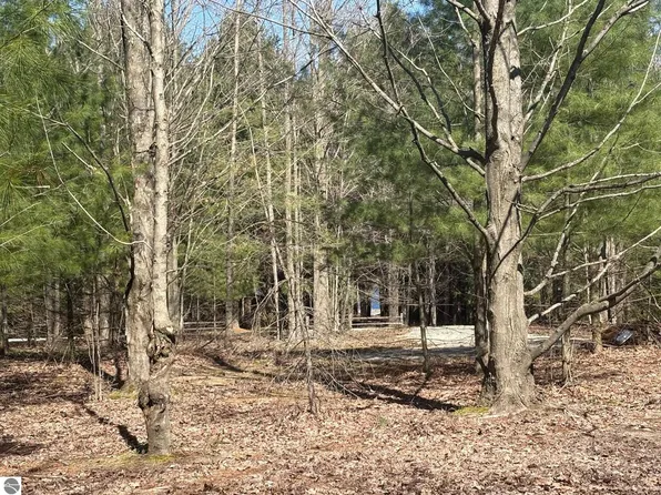0 Torch Lake Dr, Kewadin, MI 49648