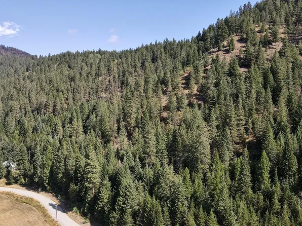4 Bodie Canyon Rd, Priest River, ID 83856