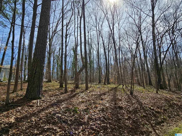 155 S Hollow Rd #0, Hayden, AL 35079