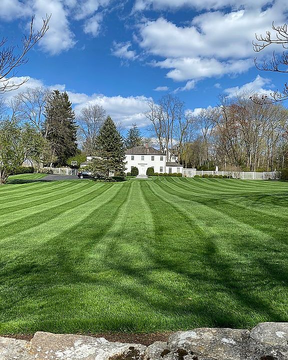 Front yard 
