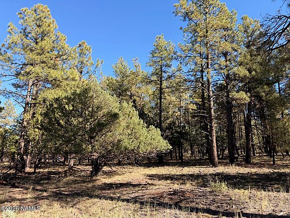4th image of 778 N Double A Ranch Rd