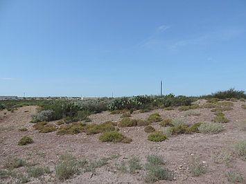 5th image of 0 Us Hwy 359 Lot 47