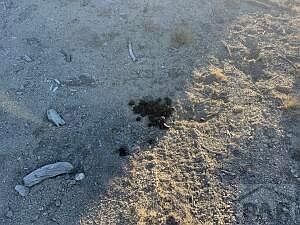 5th image of 22 Turkey Creek Rd