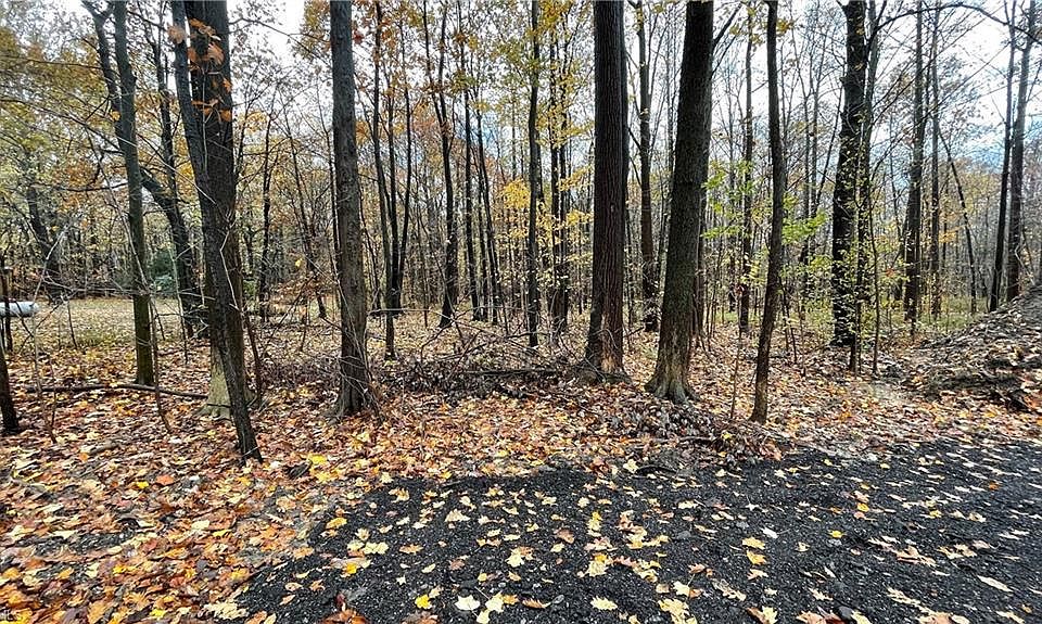 2nd image of 9950 Plank Rd