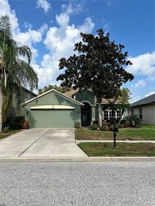 3914 Duke Firth St, Land O Lakes, FL, 34638