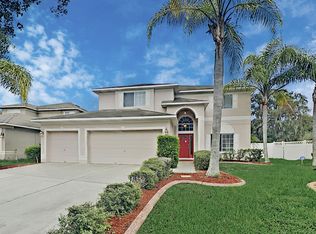 11213 Lake Lanier Dr, Riverview, FL 33569