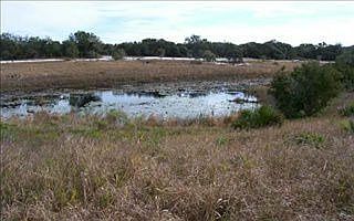 5th image of 253 Crystal Lake Dr