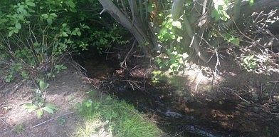 5th image of 700 Hawkins Ranch Road