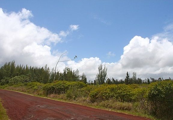 5th image of 4th Ave Lot 1354
