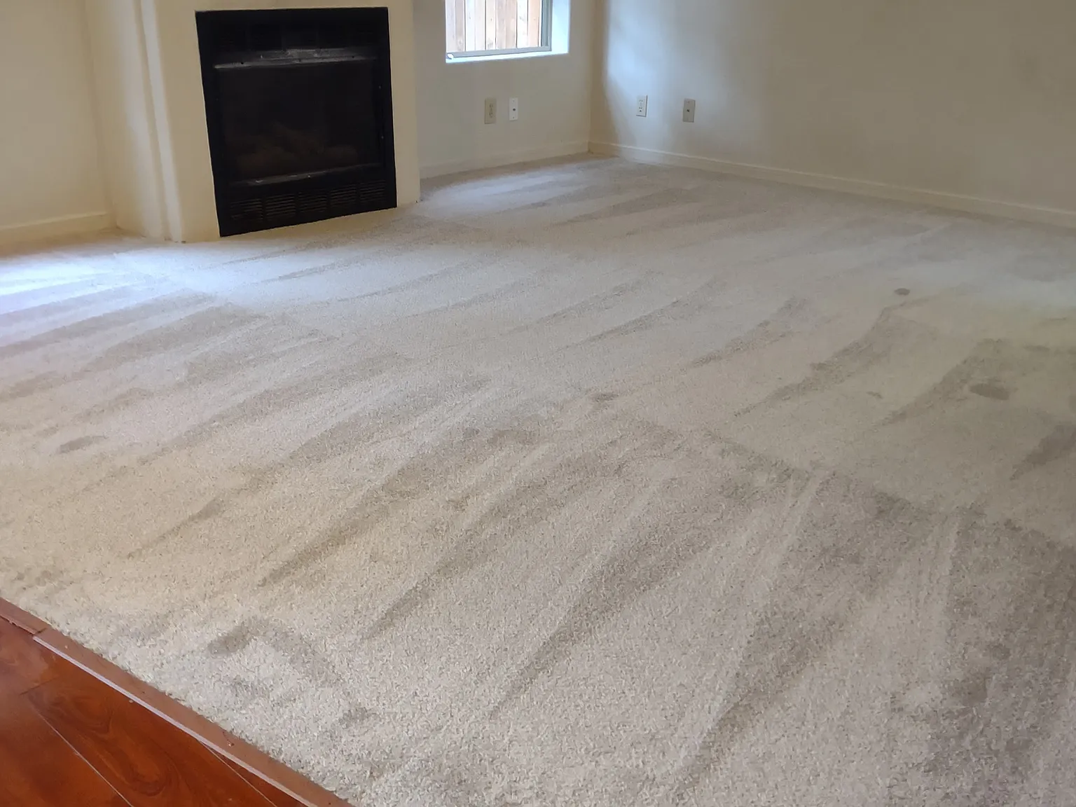 4460 E Wild Elk Trl — Photo 4