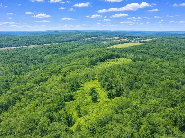 Sam Brown Rd, Lockwood, NY 14859
