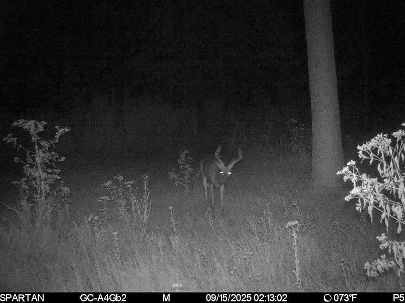 1st image of Cedar Grove Rd Lot Wp006