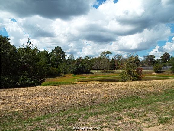 2nd image of LOT 13 Big Brave Cir