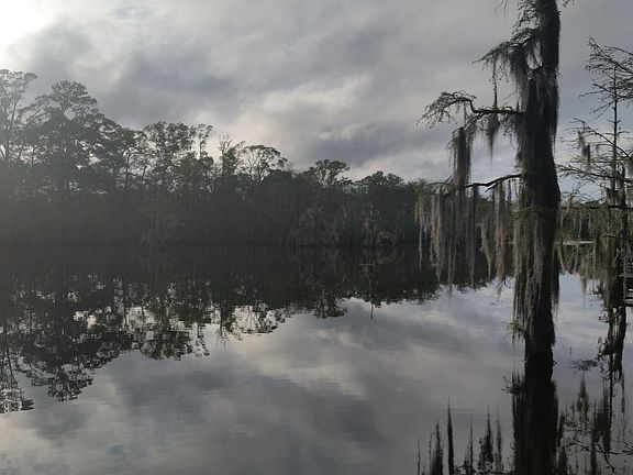 4th image of 403 Bayou Oaks Dr
