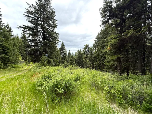 Tbd Pontiac Ridge Rd, Oroville, WA 98844