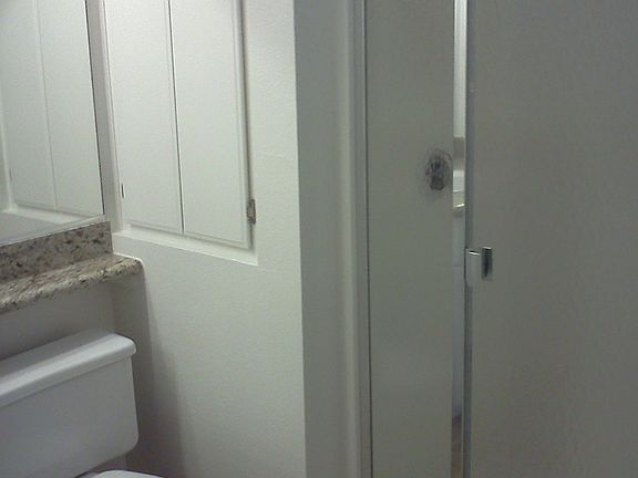 Walk in Shower in Master bath