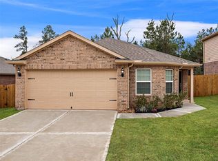 22710 Hollow Amber Dr, Hockley, TX 77447