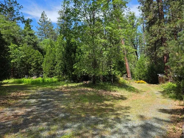 4801 Blue Mountain Rd, Wilseyville, CA 95257