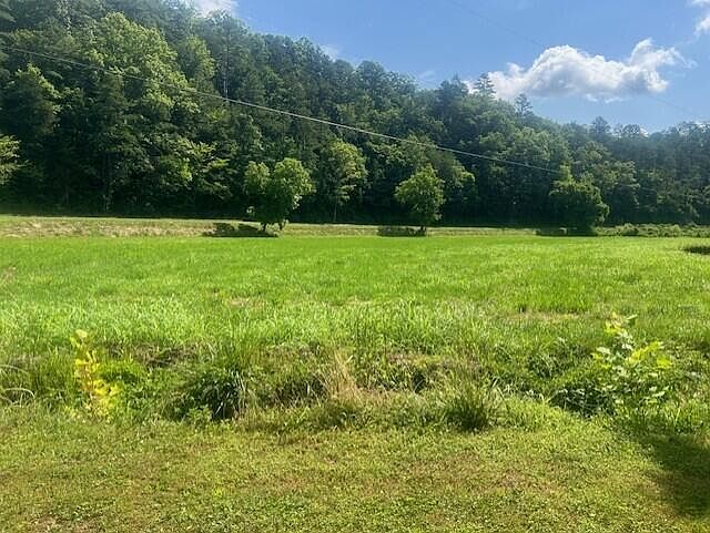 46th image of 10625 Brushy Rd
