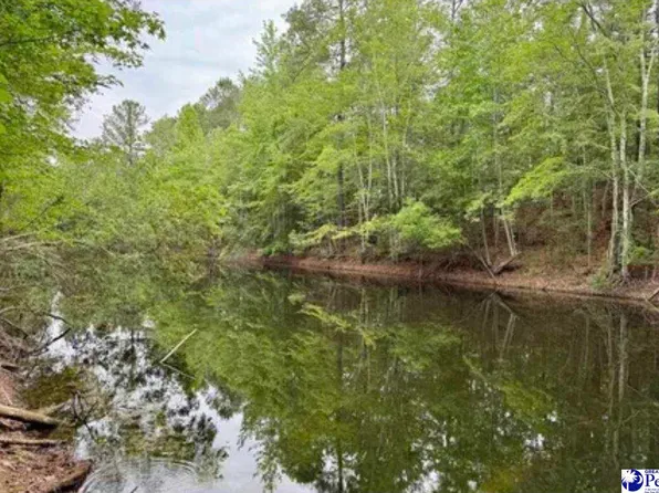 W Old 4 Hwy, Olanta, SC 29114