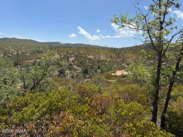 912 Geronimo Ln, Show Low, AZ 85901