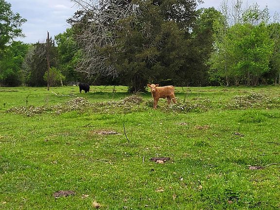 5th image of County Road 121