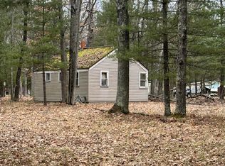 4573 N Able Rd, Irons, MI 49644