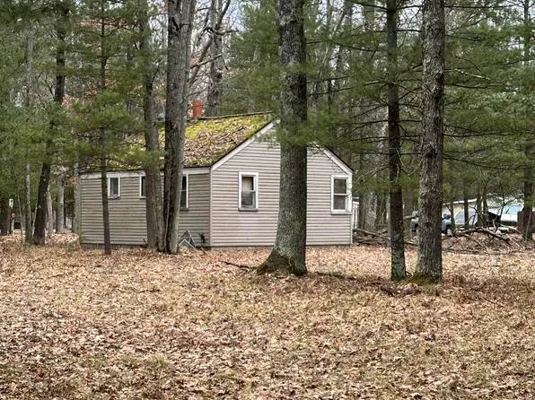4573 N Able Rd, Irons, MI 49644