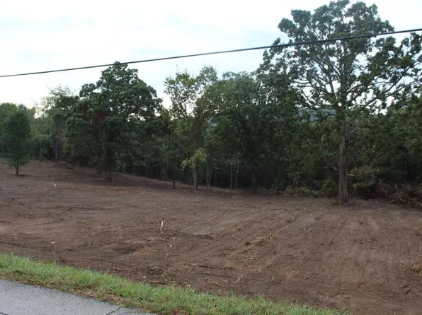 000 County Road 806, Gainesville, MO 65655
