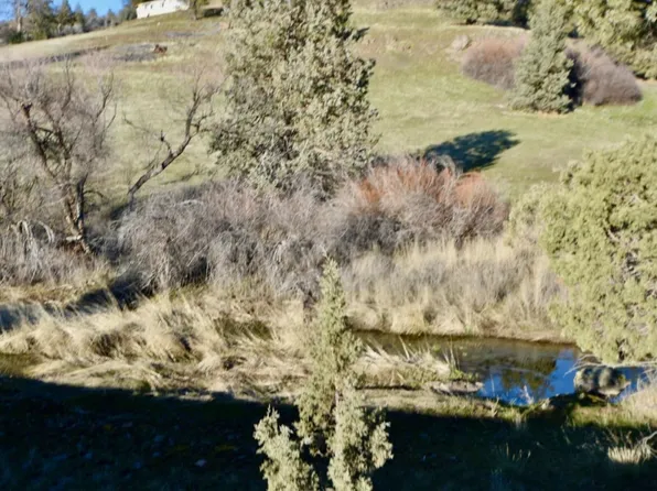 LOT 95 Catfish Ct, Montague, CA 96064