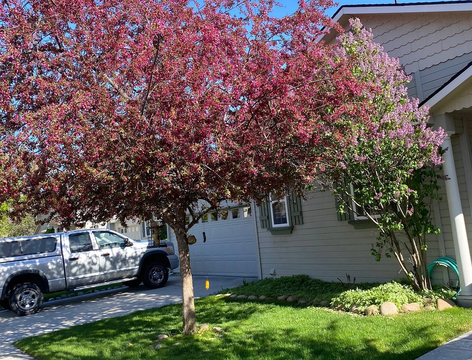 3 bed, 2198 sqft, $3,500 — Photo 3