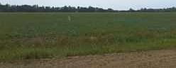 1st image of 5709 53rd Ave