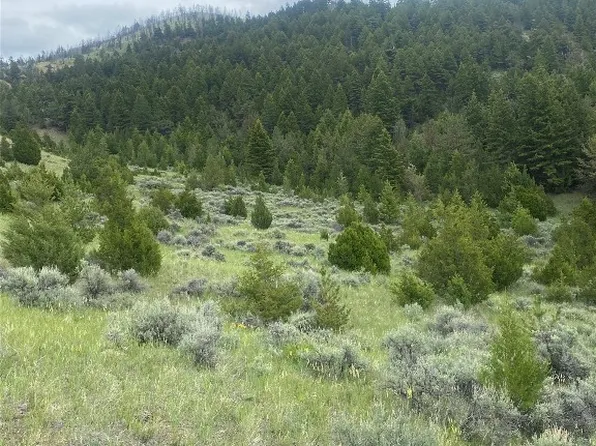 276 Lone Wolf Trl, Three Forks, MT 59752