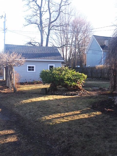 2nd image of 1021 Randolph St