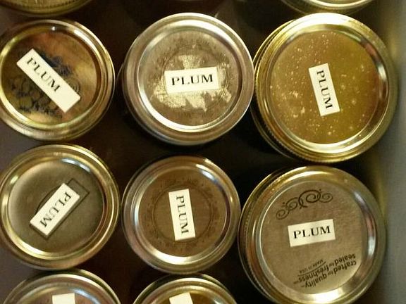 The plums and peaches are plenty each year