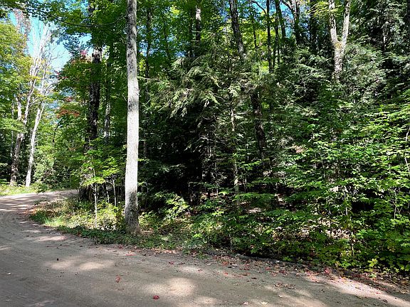 3rd image of LOT 3 E Martin Lake Dr
