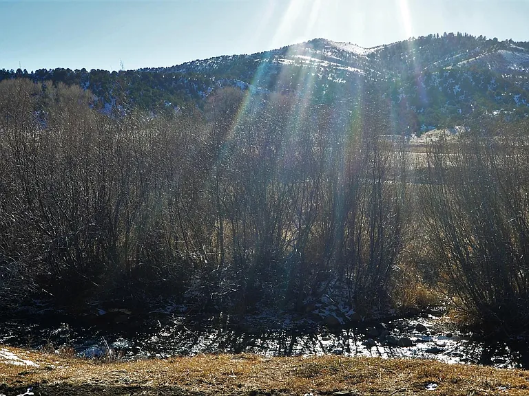 South Arkansas river, only steps away