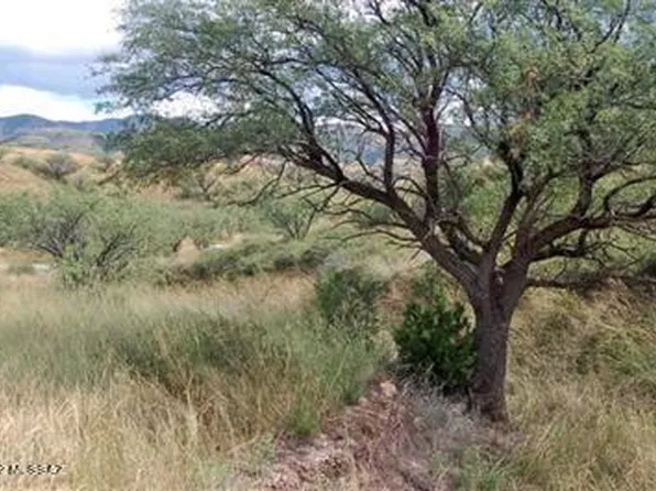 178 Tanglehead Ln Lot 43, Patagonia, AZ 85624