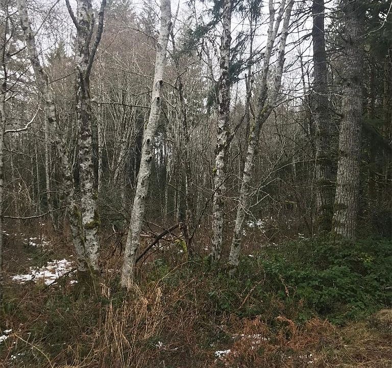 2nd image of 0 XX Cedar Place