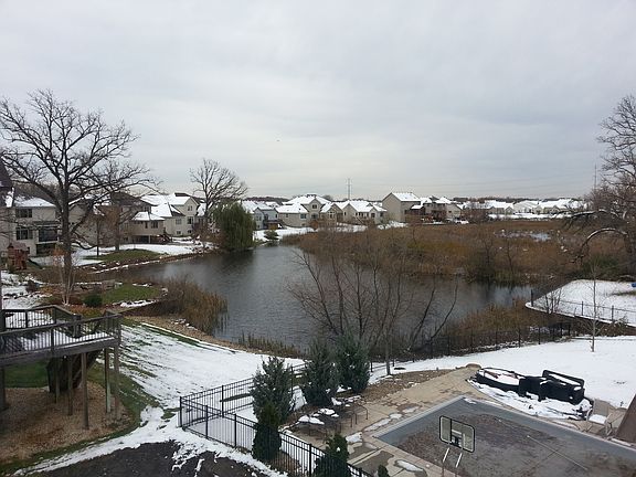 Veiw from the back yard