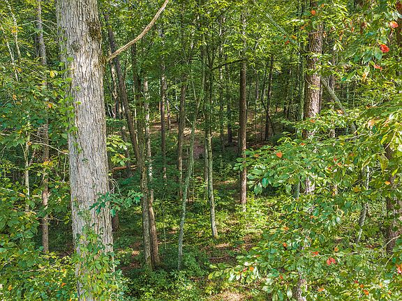 2nd image of 186 Pinnacle Dr