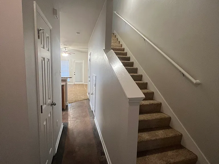 1900 Carrollwood Dr #3 — Photo 39