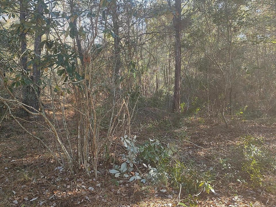 2nd image of 1218 Misty Ridge Ln