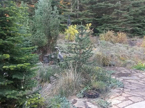 back patio