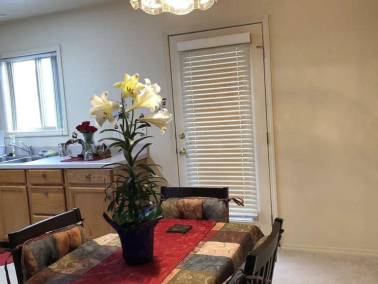 dining area and back door