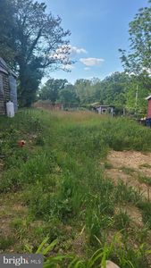 317 N Liberty St, Centreville, MD, 21617