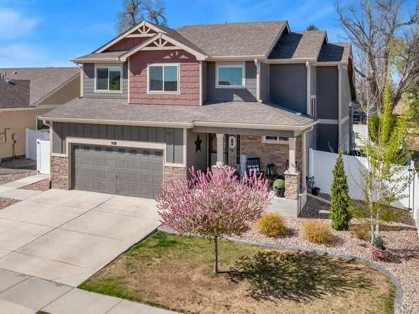 938 Scotch Pine Dr, Severance, CO 80550