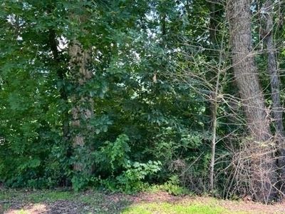 5 Chancey Dr, Hiawassee, GA, 30546