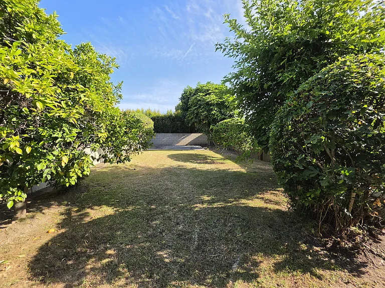 Very spacious backyard with lots of beautiful greenery