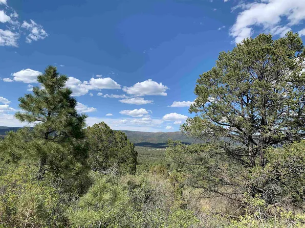 Norwood Dr, Timberon, NM 88350